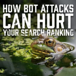 Bot attacks