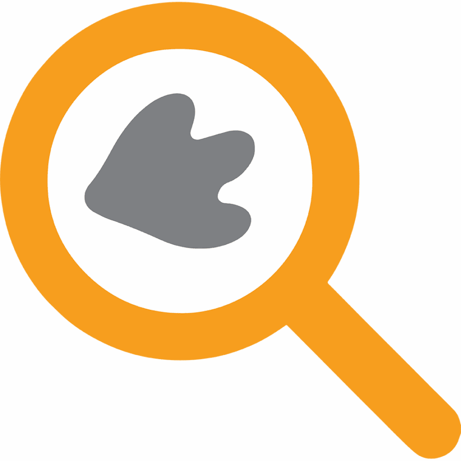 ParaduxMedia SEO & Optimization