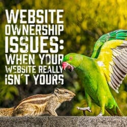 YourWebsite