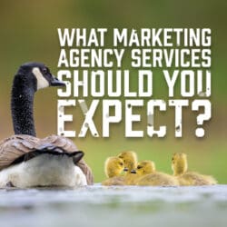 MarketingAgencyExpect